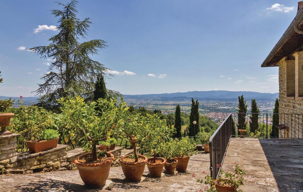 Danya Country Villa Sansepolcro Exterior photo